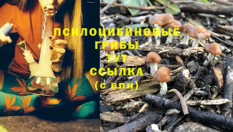 Галлюциногенные грибы MAGIC MUSHROOMS  Смоленск 